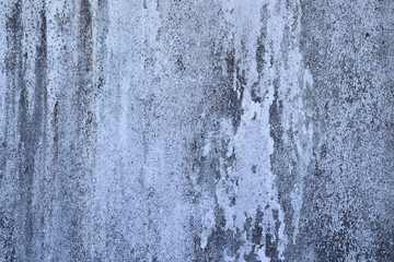 Old cement surface wall textures with moss for  backgrounds/