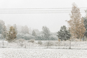 Heavy snowfall in Northern Europe countryside. White snow blizzard in rural landscape