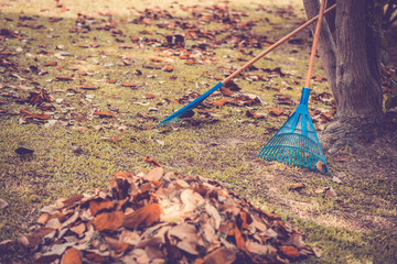 Pile of fall leaves with fan rake on public park.
