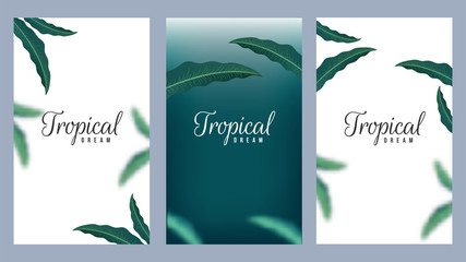 Set of Tropical Dream template design decorated natural leaves on green and white background.