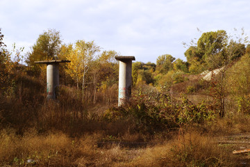 abandoned poles in the wild place in autumn
