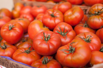 lots of tomatoes on a branch on counter