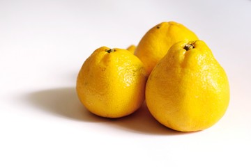 An orange on white background