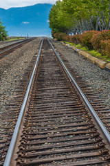 Fototapeta premium Railroad Tracks Curving into Distance toward Blue Mountains