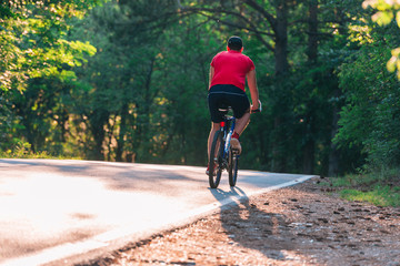 Naklejka premium Cyclist Riding the Bike through the woods at sunset at Sunset.
