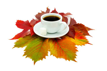 Cup of coffee and two pieces of sugar on a white isolated background with autumn leaves