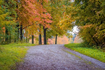 Naklejka premium Autumn park landscape. Golden autumn . Sunny day in the autumn park with yellow trees. Beautiful landscape.