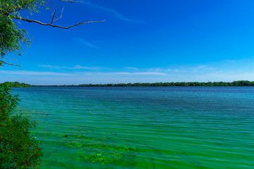 Wide river with green water with algae