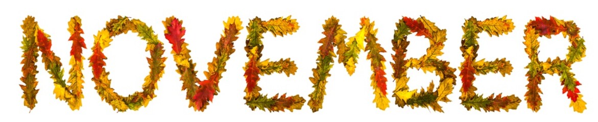 Naklejka na ściany i meble November. Text made by autumn leaves. English alphabet. Oak foxes. Font for design. Natural colors. Natural nature shot. Autumn design. True natural beauty.
