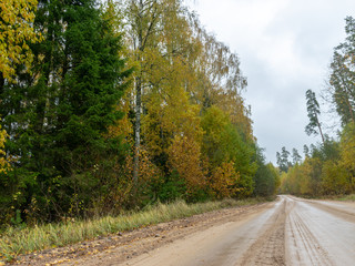 landscape with wet, sloping ground and colorful trees along the edge, autumn