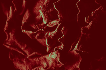 Dark Abstract Floral Texture