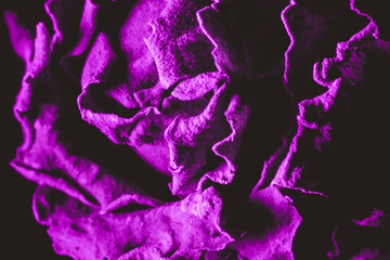 Dark Abstract Floral Texture