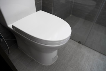 White toilet in modern home. White toilet bowl in bathroom.