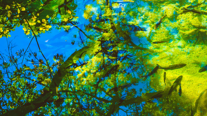Fototapeta na wymiar Green, blue and yellow reflections in the river flow. Abstract background