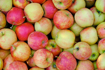 Large group of ripe red apples background