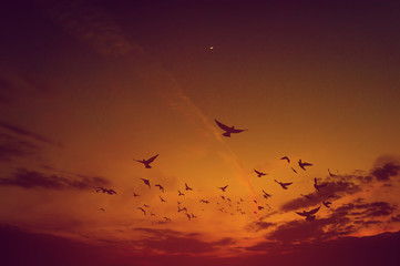 Evening sky Beautiful orange sunset sky Nature that is still beautiful