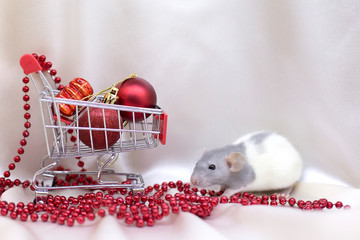 New Year 2020. White rat next shopping trolley with red Christmas balls on white background. Rat symbol of the year