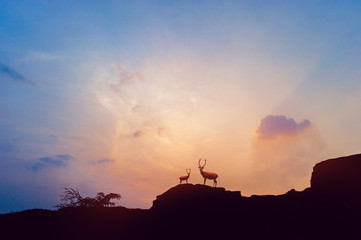 Mountain silhouette The sun, the sky and the life Silhouette concept