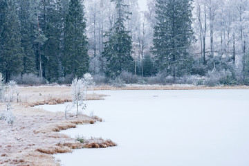 Bog lake in a boreal forest with frost and ice