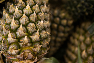 A lot of pineapple fruit on a market in asian country. Texture background from the pineapples. Tropical and exotic fruits. Healthy and vitamin food concept.