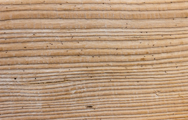 The surface of an old wooden board, weathered and faded in the sun.