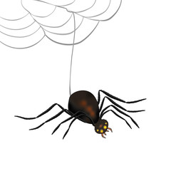 Spinne mit leuchtenden Augen links ausgerichtet vom Netz hängend