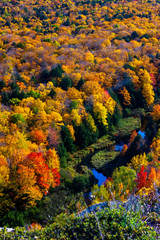 Close-Up of the Porcupine Mountains on a fall day