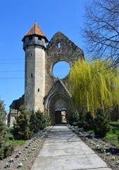 Fototapeta na wymiar the ruins of the Cistercian monastery Carta - Romania