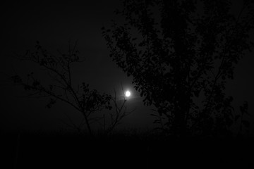 Fototapeta premium Black and White dark moon light at night after sunset.