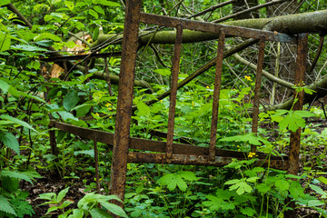 old rusty bedstead in the forest, rusty bedstead, Bed in swamp