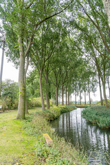 Tree lined canal
