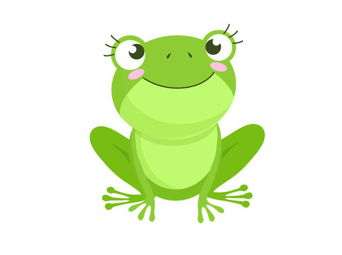Cartoon Vector of Green cute baby frog isolated on white background