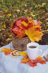 autumn tea party. cup with tea and maple leaves. Maple leaves in a basket.