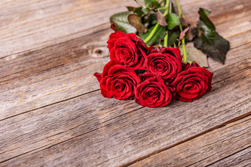 Red rose on a wooden background