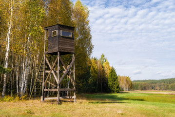 Jesień w Puszczy Knyszyńskiej, Podlasie, Polska