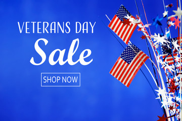 Veterans day sale message with flag of the United States