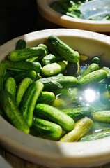 Half sour cucumber pickles in brine in a barrel