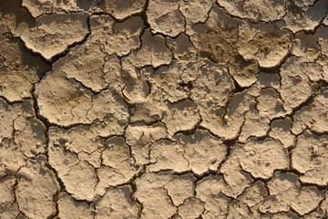 Cracks in the soil. Dry land in drought.