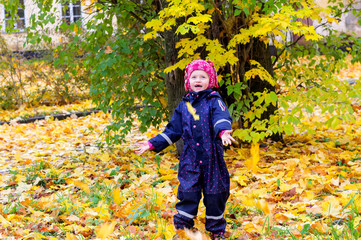 Little girl walks in the park and catches falling leaves from a tree