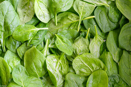 fresh organic spinach leaves, full frame background texture, high angle top view from above