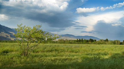 Fototapeta na wymiar Siberian landscape. View of the Sayan Mountains.