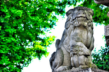Obraz premium Guardian dog of Isesaki-shrine in Gunma, Japan.