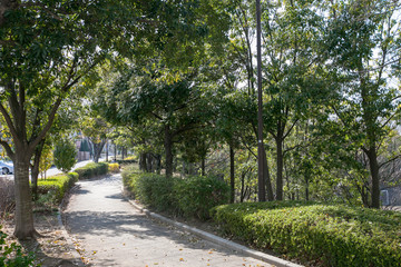 赤田西公園（横浜市青葉区）