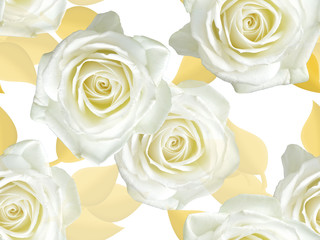Seamless floral pattern. White roses on a white background.