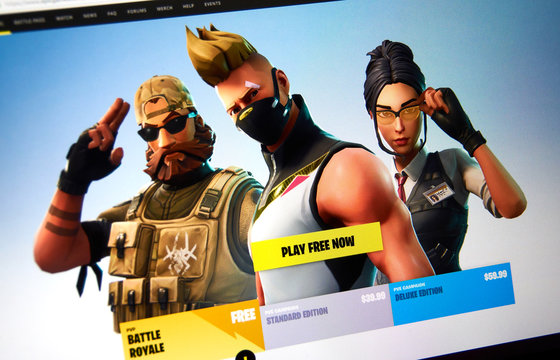 Fortnite video game official site.