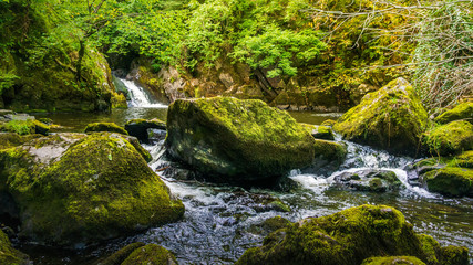 Naklejka na ściany i meble Stream or creek flowing between mossy rocks, water, autumn, Ireland