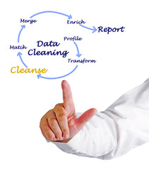 Man Presenting Data Cleaning process