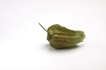 Naklejka premium cape gooseberry isolated on white background