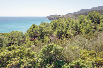 Fototapeta na wymiar Landscape scenery in Marathokabos on Samos, Greece.