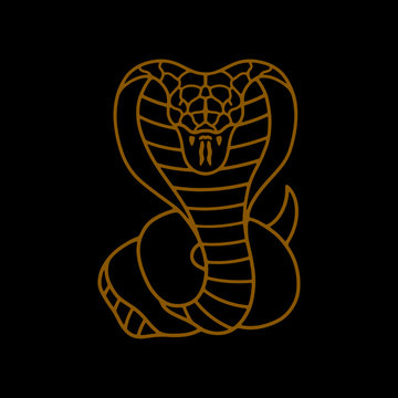 Color dangerous snake on black background 
